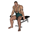 Reverse Curl - Seated Dumbbell Alternate